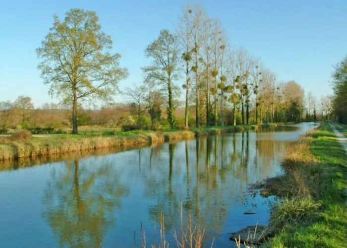 La Villa Des Jonquilles
