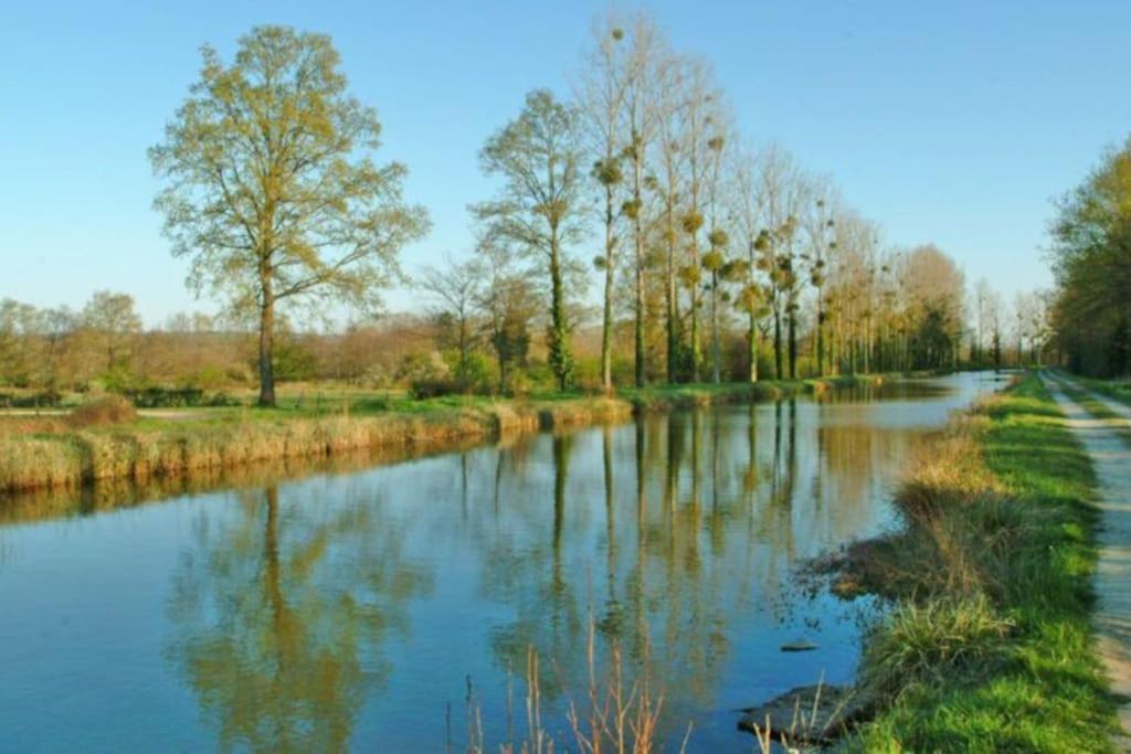La Des Jonquilles Saint-Victor (Allier)